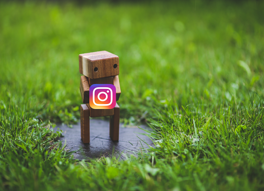 Instagram Bot Picture